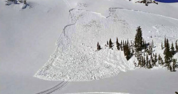 Courtesy: USDA https://www.flickr.com/photos/usdagov/